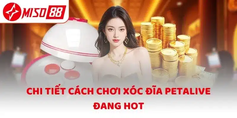 Chi tiết cách chơi Xóc Đĩa Petalive đang hot