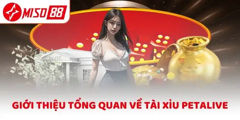 Giới thiệu tổng quan về Tài Xỉu Petalive