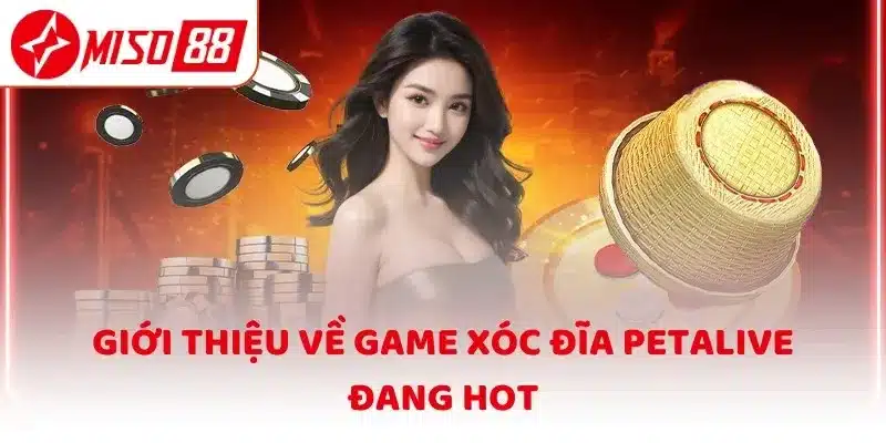 Giới thiệu về game Xóc Đĩa Petalive đang hot