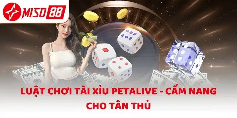 Luật chơi Tài Xỉu Petalive - Cẩm nang cho tân thủ