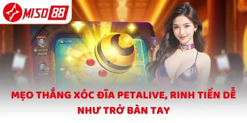Mẹo thắng Xóc Đĩa Petalive, rinh tiền dễ như trở bàn tay