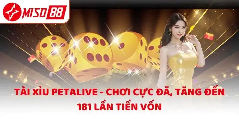 Tài Xỉu Petalive