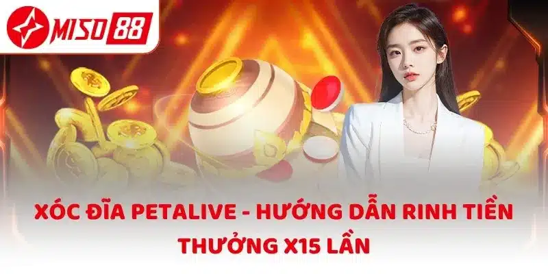Xóc Đĩa Petalive